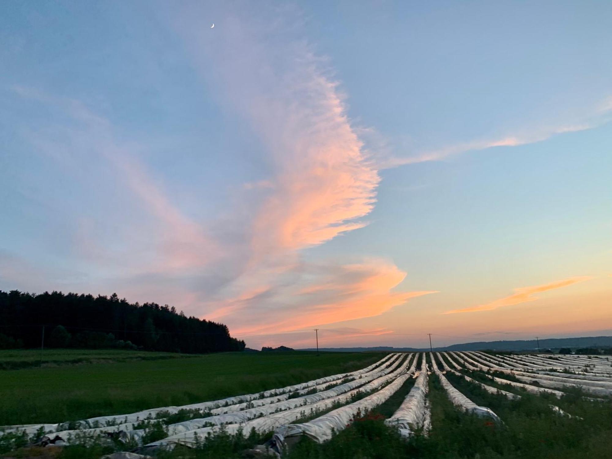 Wohnen Im Wasserschloss Sandizell Schrobenhausen Exteriér fotografie