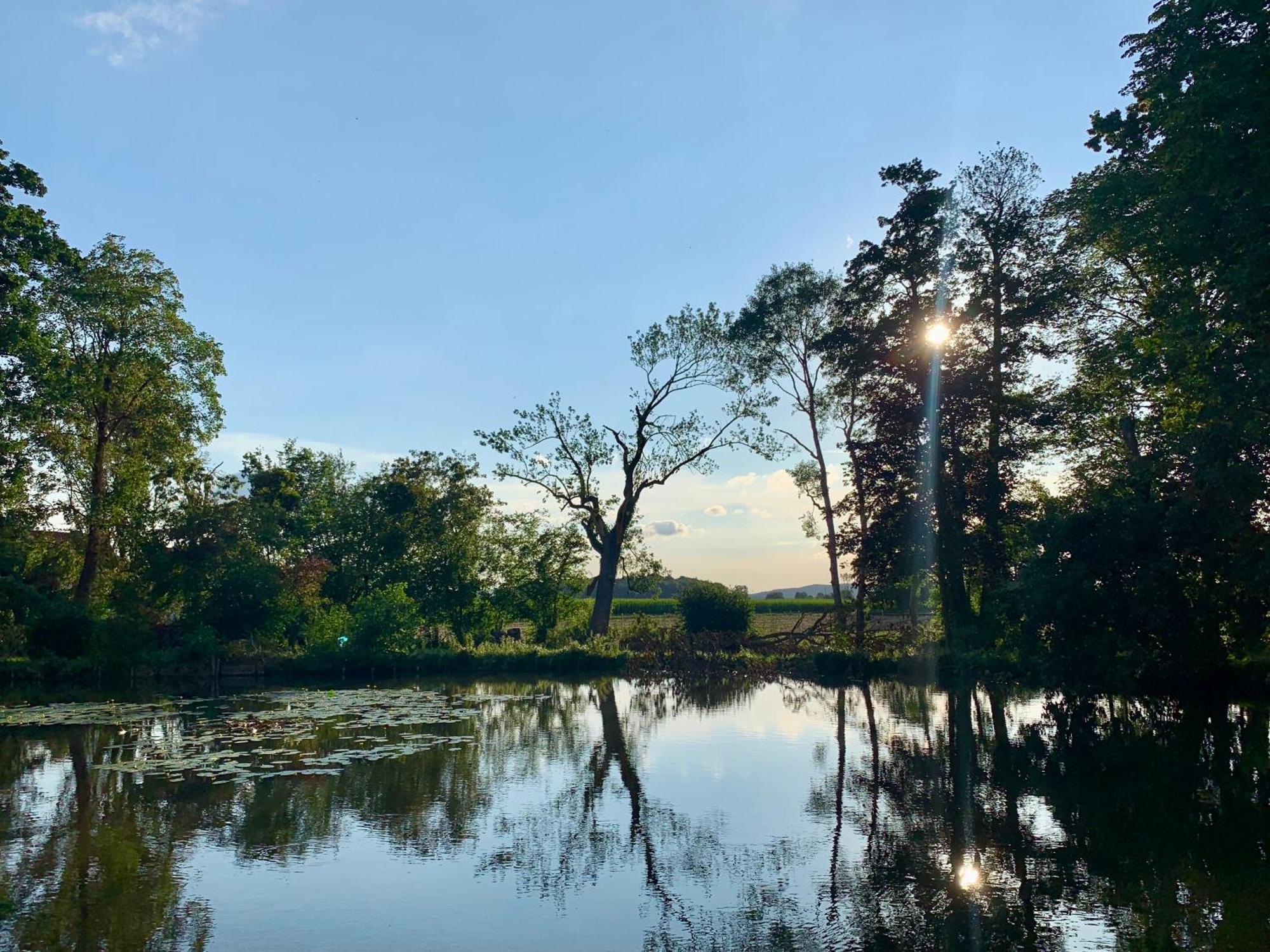Wohnen Im Wasserschloss Sandizell Schrobenhausen Exteriér fotografie